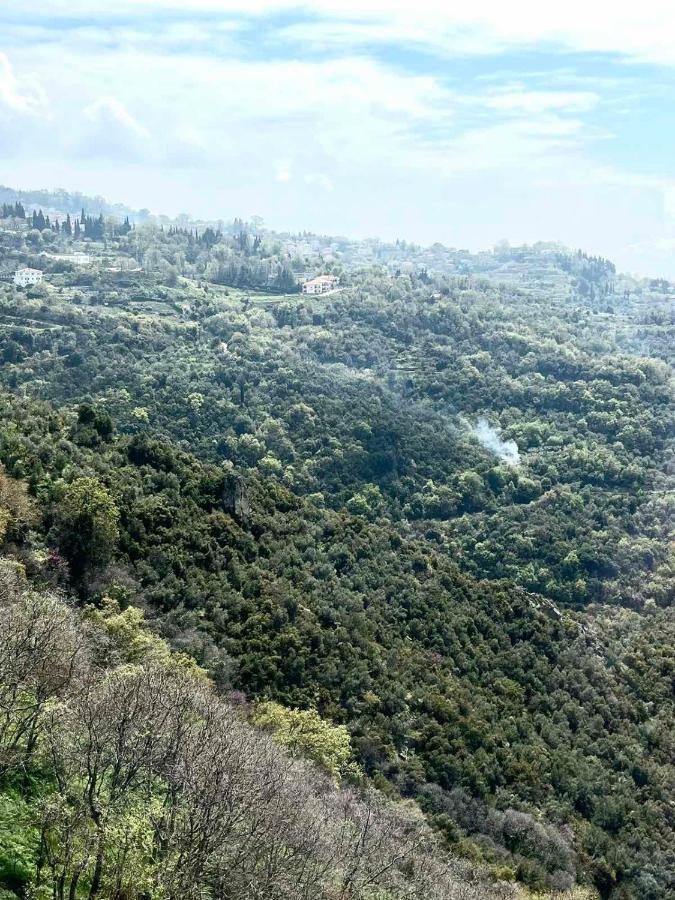 Archontiko Anemos Otel Makrinítsa Dış mekan fotoğraf